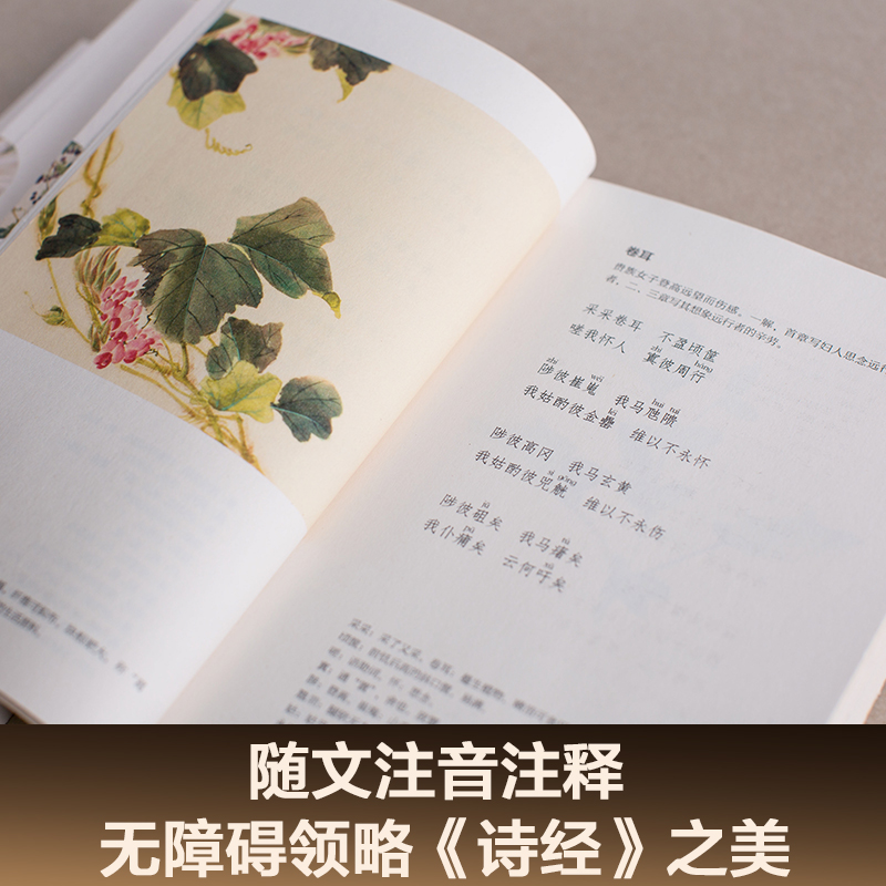 诗经(全三册) 风雅颂 全彩插图 韩寒推荐 注释注音 收录全篇305首 中国古代诗歌 国学启蒙 果麦图书 - 图2