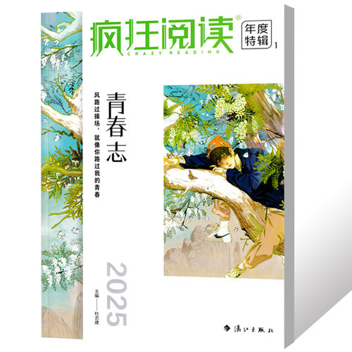 【2025版】疯狂阅读年度特辑1-4册全套4本+赠书2本 青春卷小说馆格言集中国风 成长励志书珍藏版类天星教育 - 图3