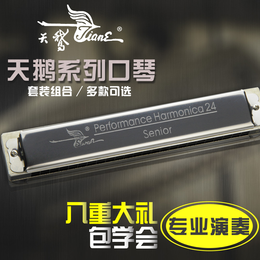 扬州州际乐器专营店天鹅口琴套装12调24孔复音儿童成人初学者入门练习专业演奏乐器0