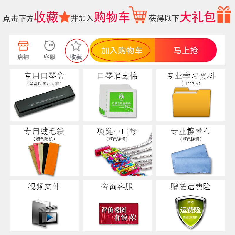 扬州州际乐器专营店天鹅口琴套装12调24孔复音儿童成人初学者入门练习专业演奏乐器1