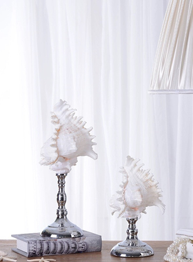 贝壳海螺摆件家居饰品客厅电视柜酒柜装饰品创意工艺品软装设计师