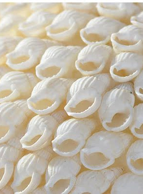 创意设计海洋风贝壳海螺球托盘花瓶摆件酒店民宿软装工艺品饰品