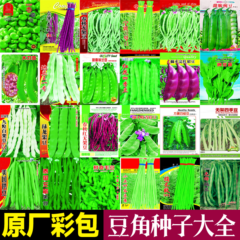 豆角种子豇豆眉豆荷兰豆红长无架四季豆种籽蚕豆豌豆种孑大全-图1