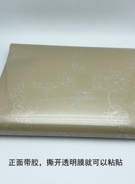 鱼缸背景装饰贴纸草缸外贴造景正面带胶自粘橱柜晶钢门玻璃专用膜