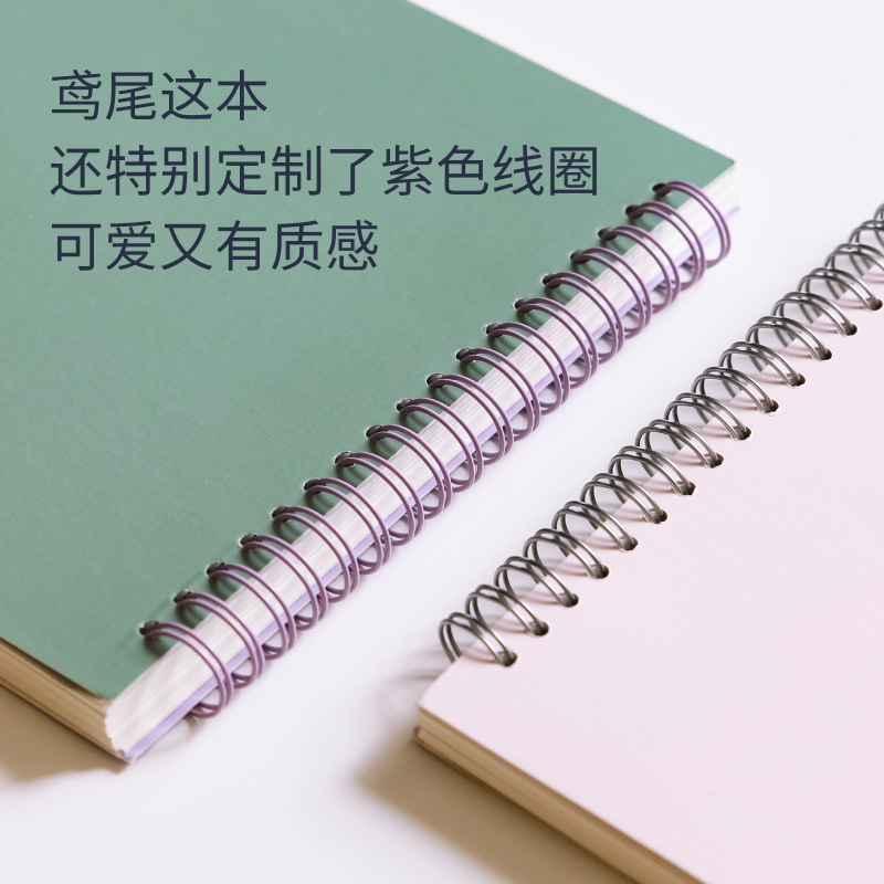 【百词斩文创】B5康奈尔双向横翻笔记本线圈记事两用双面横线方格加厚多用途课堂复习创意简约书写复古风烫金 - 图2