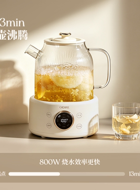 【李佳琦直播间】养生壶炖煮一体