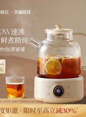 【政府补贴20%】养生壶炖煮一体