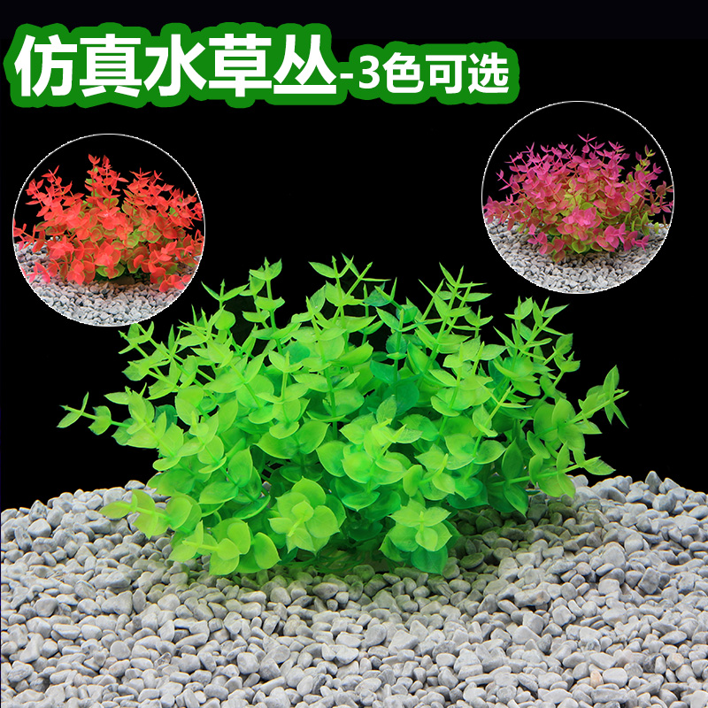鱼缸前景草 新人首单立减十元 21年9月 淘宝海外