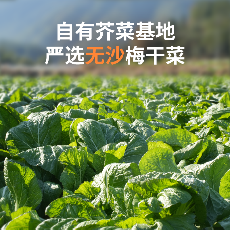 聪厨正宗梅菜扣肉加热即食湖南特产半成品美食快手菜年夜饭,淘宝优惠券,粉丝福利购,淘宝优惠卷