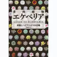 日本多肉植物 新人首单立减十元 21年8月 淘宝海外 日本多肉植物 新人首单立减十元 21年8月 淘宝海外