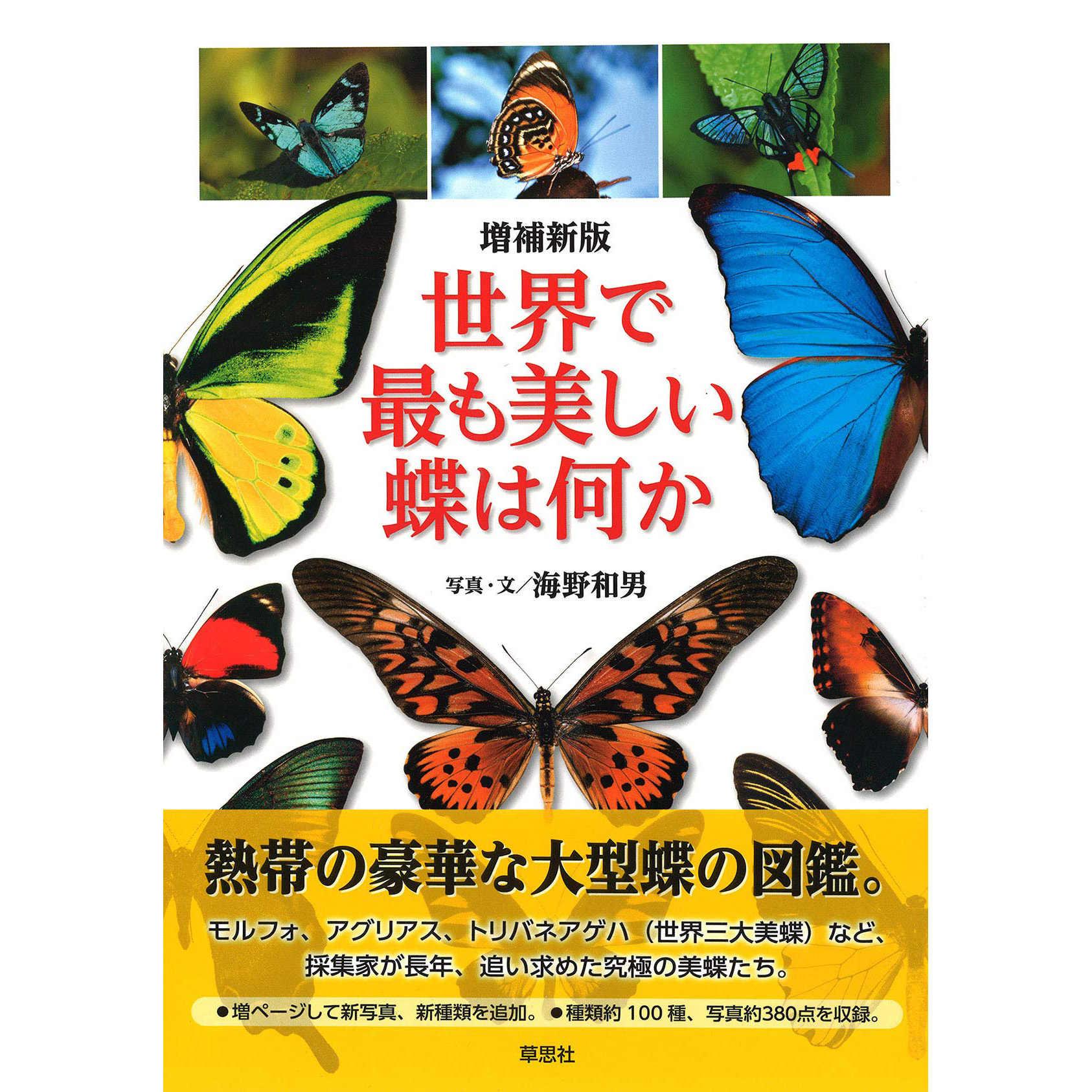 原色圖鑑世界の蝶 復刻版 Arkiva Gov Al