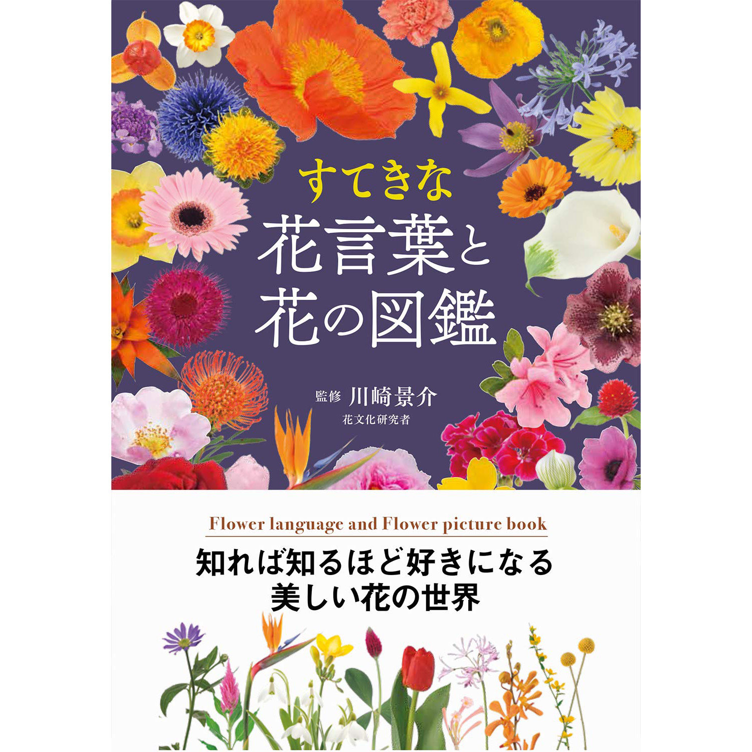 植物图鉴日本 新人首单立减十元 21年7月 淘宝海外
