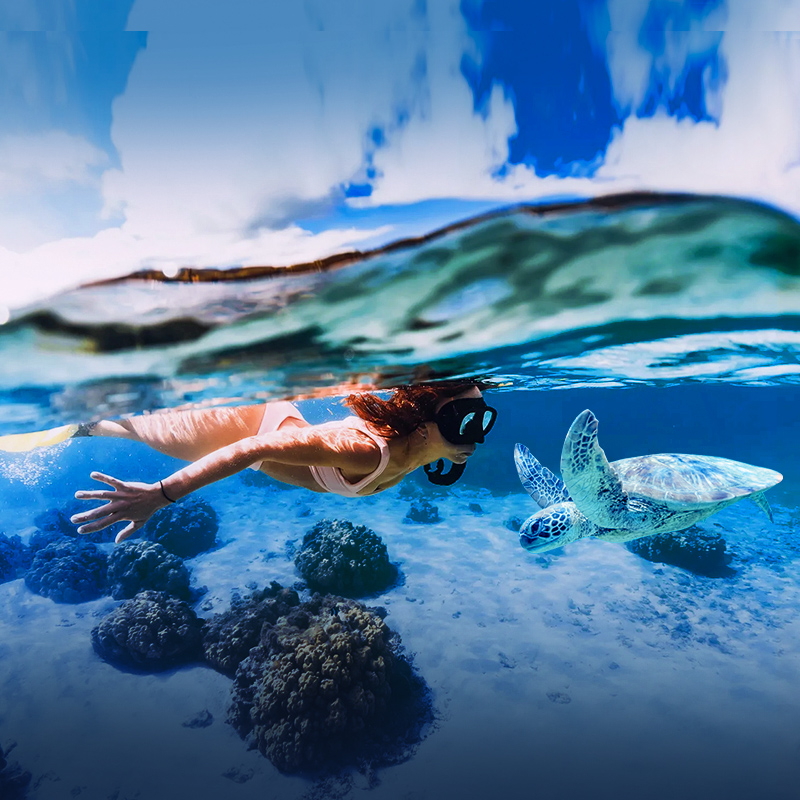 浪花朵朵斯米兰岛一日游普吉岛女神浮潜潜水seastar深潜出海泰国-图2