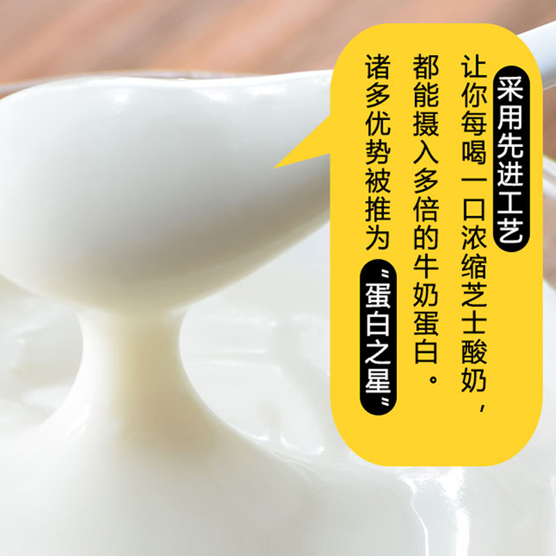 浓缩芝士酸奶粉果味烘培小吃配方原料水果捞专用减少乳清稳定增稠