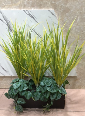 禾苗稻谷禾苗仿真塑料青草水草