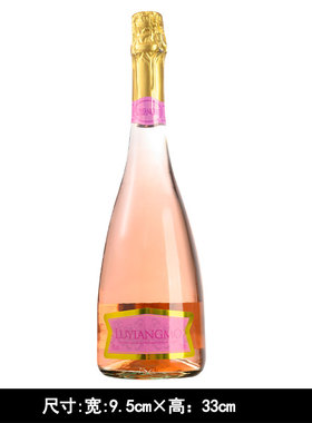 精选婚纱摄影道具旅拍香槟酒瓶影楼外景婚礼摆件培训道具喷射道具