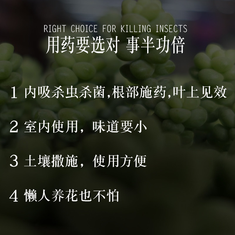 仙葩小白药小粉药呋虫胺飞虱杀虫剂噻呋酰胺杀菌剂植物撒施颗粒剂,淘宝优惠券,粉丝福利购,淘宝优惠卷