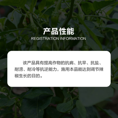 沪联沪润丰0.04% 14一羟基芸苔素甾醇抗逆解药害植物生长调节剂 - 图1