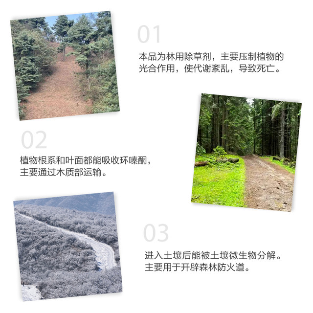Cyclazinone herbicide, genuine Cyclazinone herbicide, Cyclazinone copper herbicide, shrub and weed killer granules