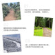 Cyclazinone herbicide, genuine Cyclazinone herbicide, Cyclazinone copper herbicide, shrub and weed killer granules