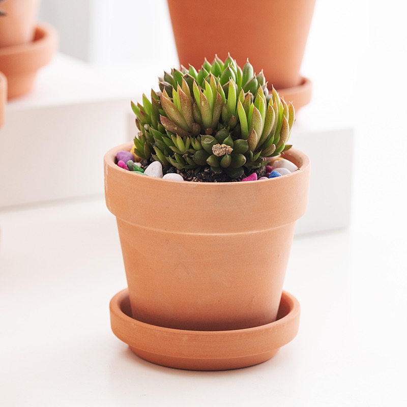 清仓红陶多肉小花盆特大号粗陶简约陶土陶瓷泥瓦盆透气盆特价包邮,淘宝优惠券,粉丝福利购,淘宝优惠卷