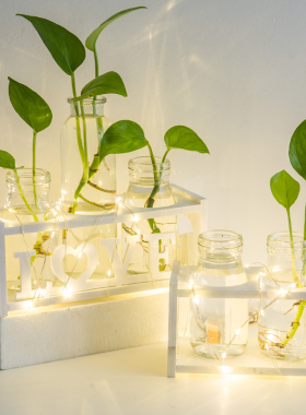 创意水培水花瓶透明办公室植物