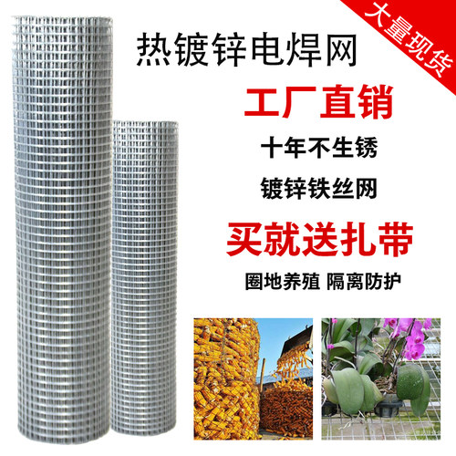 镀锌铁丝网养殖网阳台防护防鼠防蛇鸡笼兔笼鸟笼钢丝网栅栏铁网片 - 图0