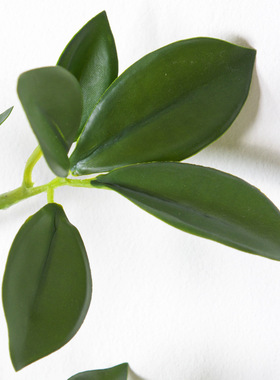 仿真山茶叶米兰叶小榕叶榕树叶 绿色植物长枝家居绿植摆件装饰品