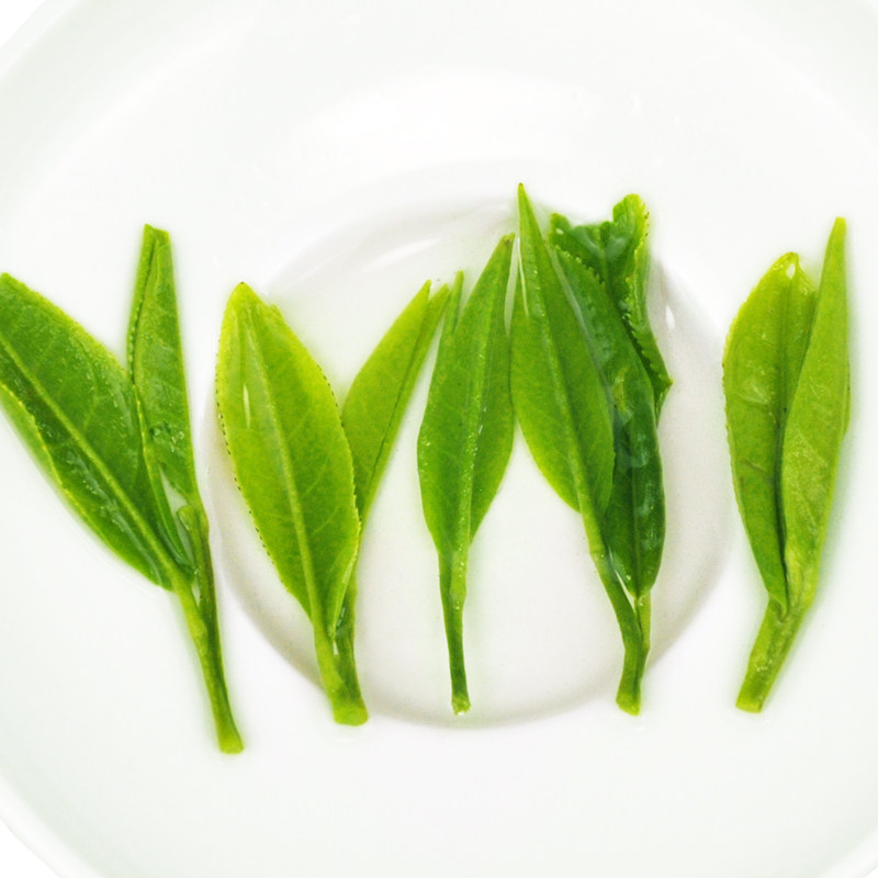 2022年新浓香黄山散装共500g毛峰 禾安堂其它绿茶