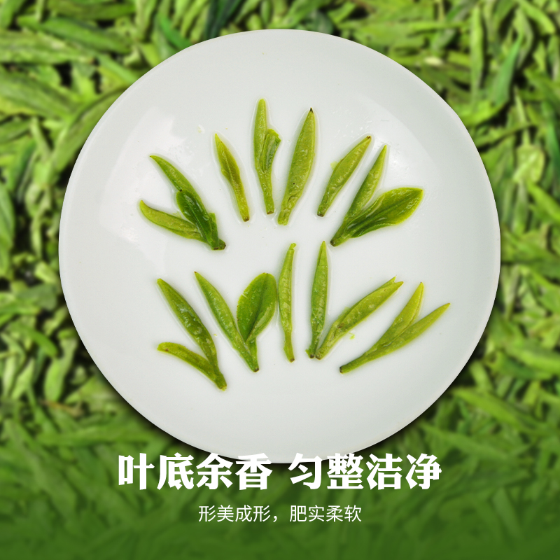 禾安堂旗舰店【2022年新茶叶】禾安堂龙井茶绿茶明前特级大佛250g2