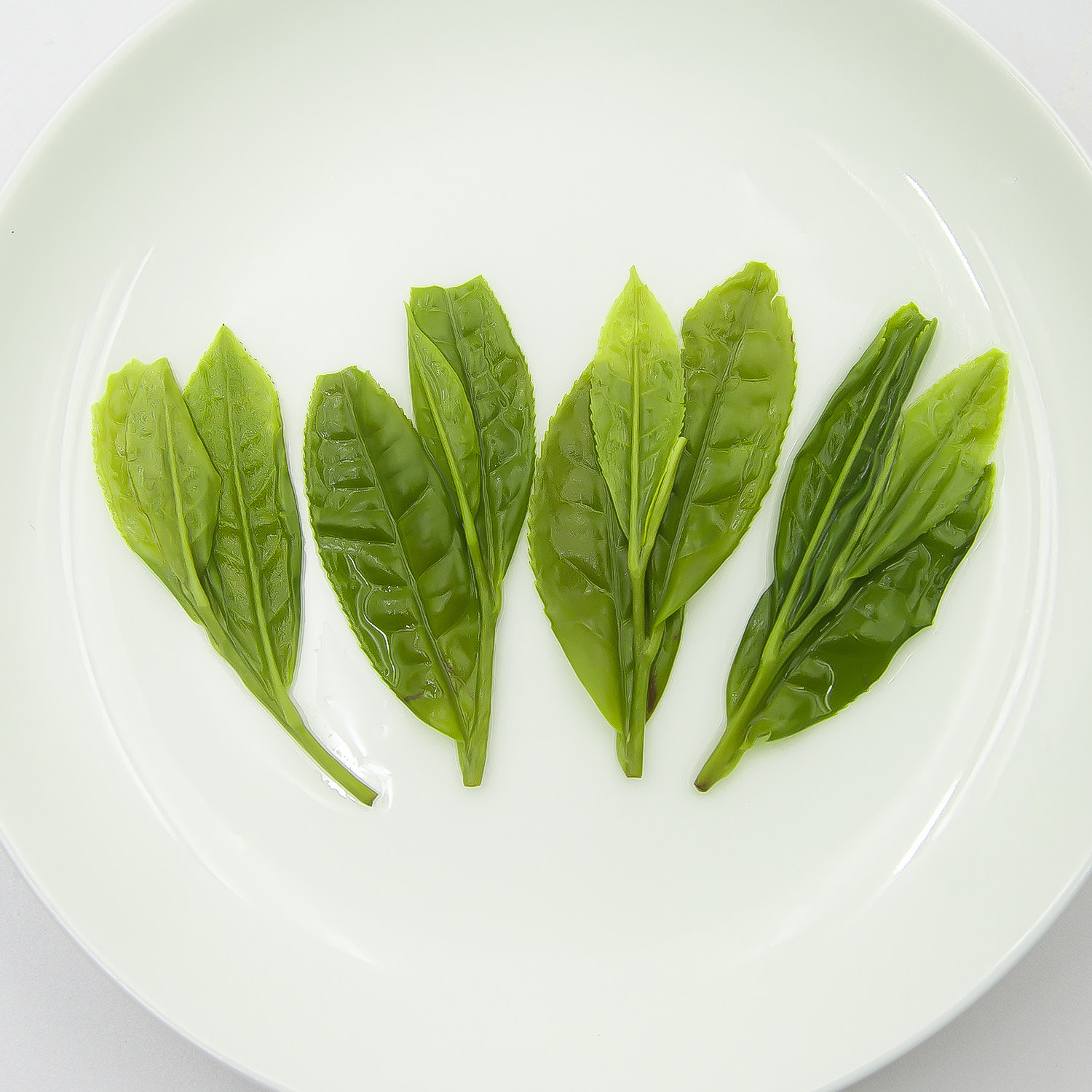 【买一斤送半斤】禾安堂绿茶茶叶自己喝2025新茶龙井春茶共750g,淘宝优惠券,粉丝福利购,淘宝优惠卷