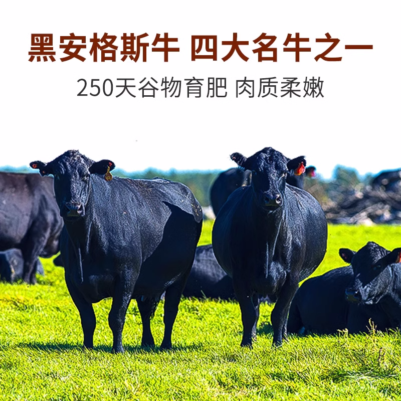 肉管家原切choice级谷饲250天黑安格斯西冷眼肉牛排牛扒牛肉新鲜-图2