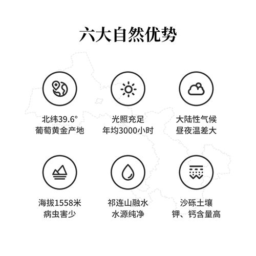 紫轩冰酒(礼盒装) 威代尔 甜型 冰白葡萄酒 10%vol 500mL - 图0