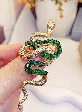 红色灵蛇胸针精致时尚高端别针女