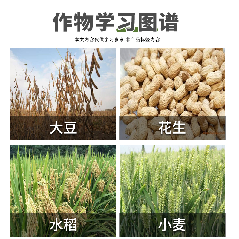 先正达爱苗苯醚甲环唑丙环唑水稻小麦锈病叶斑病纹枯病杀菌剂农药 - 图1