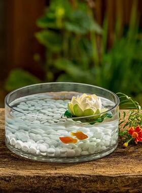 圆形金鱼缸铜钱草睡莲玻璃花瓶