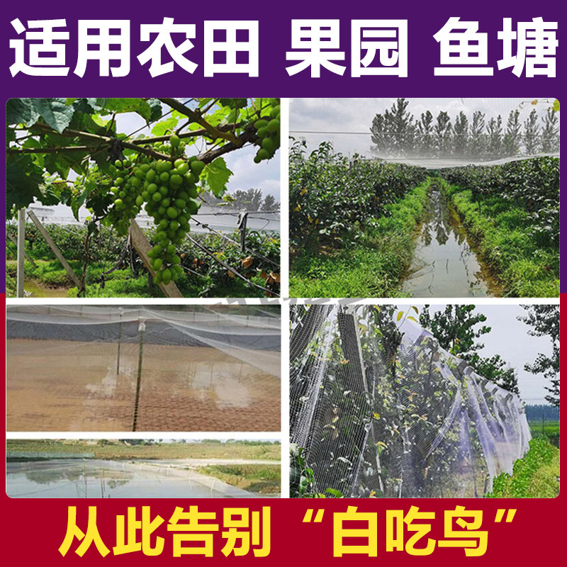 防鸟网果树果园樱桃葡萄梨树草莓鱼塘户外大棚尼龙线养殖网专用,淘宝优惠券,粉丝福利购,淘宝优惠卷