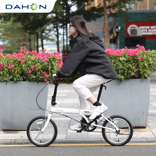 DAHON大行16英寸迷你城市通勤折叠自行车成人男女式小轮单速KT610