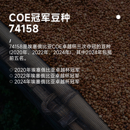 M2M埃塞俄比亚ALO Bombe74158精品日晒手冲浅烘咖啡豆黑咖啡100g - 图2