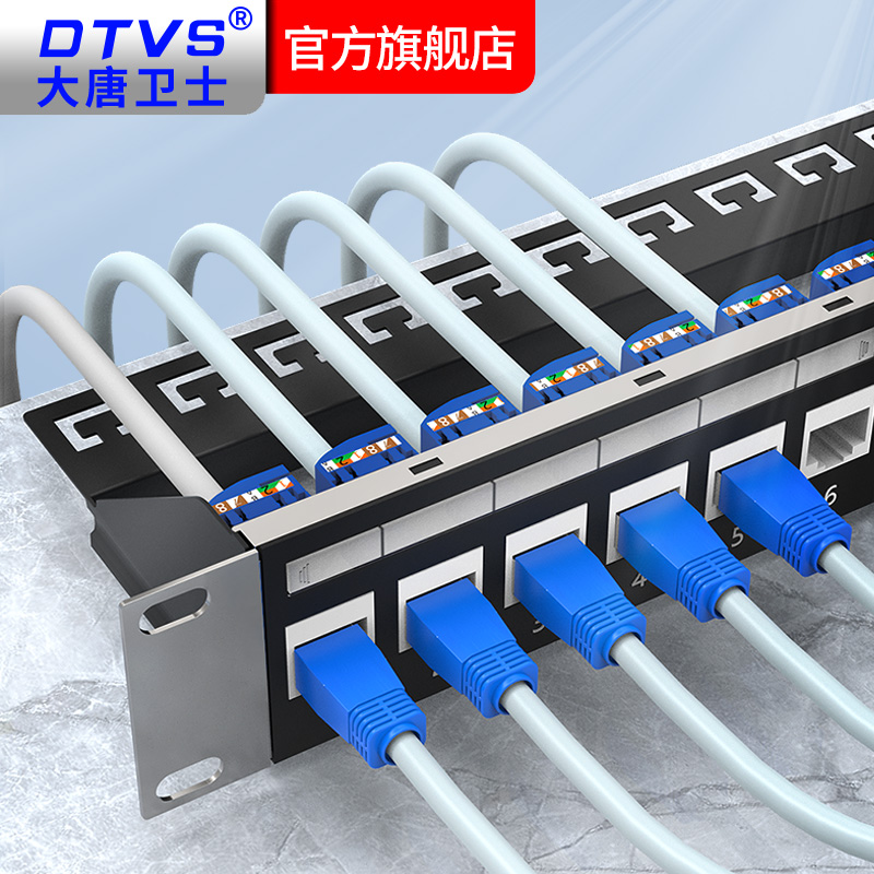 大唐卫士网络配线架超五类六类24口48口25口50口100对网络配线架理线架机架式19寸金属材质DT7624X