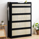 Trojan men's shoe cabinet home door shoe rack storage tool