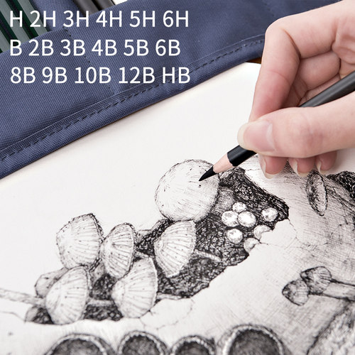 12支装得力铅笔2B绘图绘画素描铅笔HB/2H学生写字考试考级美术4B6B8B10B12B手绘速写铅笔套装 - 图2