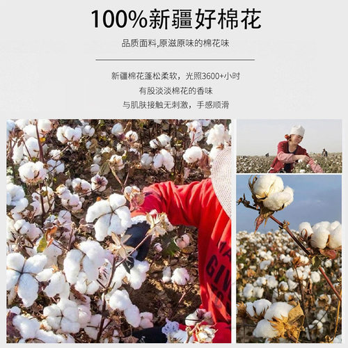 定做纯棉花褥子床褥床垫被全棉学生宿舍双人单人1.5m1.8米榻榻米 - 图1