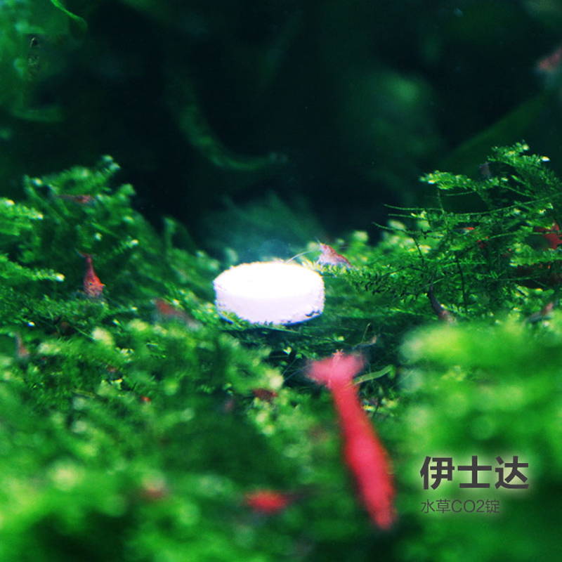 Ista伊士达水草co2 Diy二氧细化器 将二氧化碳研制成缓溶性锭状 能在水中溶解而被水草吸收 以进行光和作用 实验证明效果与液态co2 相同可降低ph值及增加co2含量 水底森林
