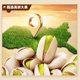 Bibizan Pistachio_Natural opening without bleaching