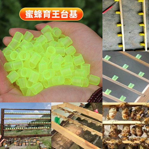 蜜蜂育王台基意蜂专用塑料单个育王台杯人工培育蜂王蜡碗养蜂工具 - 图3