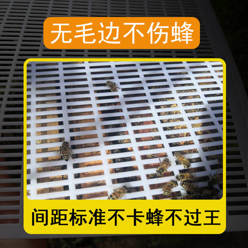 蜜蜂平面隔王板塑料可裁剪中蜂隔王片意蜂隔皇器蜂箱专用养蜂工具 - 图1