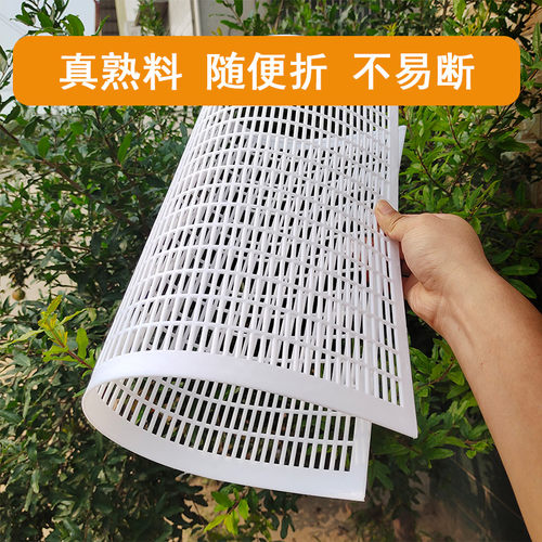 蜜蜂平面隔王板塑料可裁剪中蜂隔王片意蜂隔皇器蜂箱专用养蜂工具 - 图2