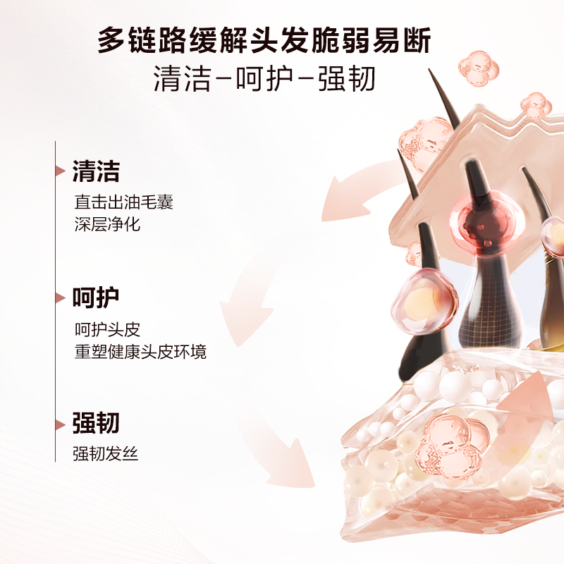 欧莱雅活力姜洗发水护发素生姜洗护套装去油强韧发根洗头水洗发露