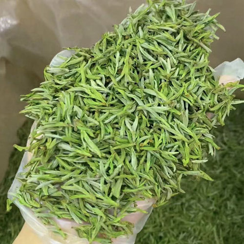 2026霍山黄芽新茶明前特级嫩芽雀舌高山手工茶叶250g清香甘甜 - 图0